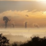 Global Environmental Stewardship – Truths About Environmental Damage