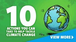 10 Ways to Reduce Climate Change as a Student